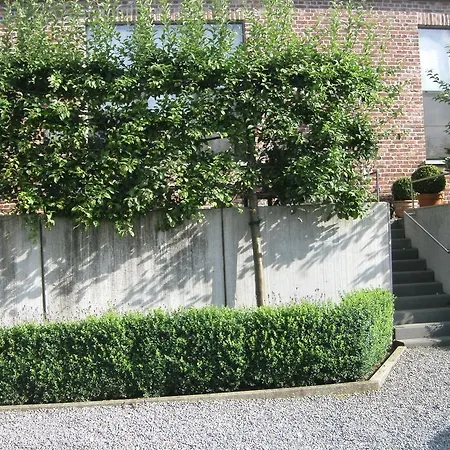 't Gillebroek Holiday home Borgloon